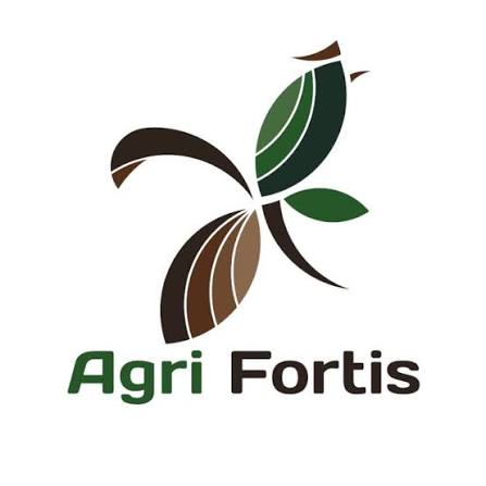 Company image